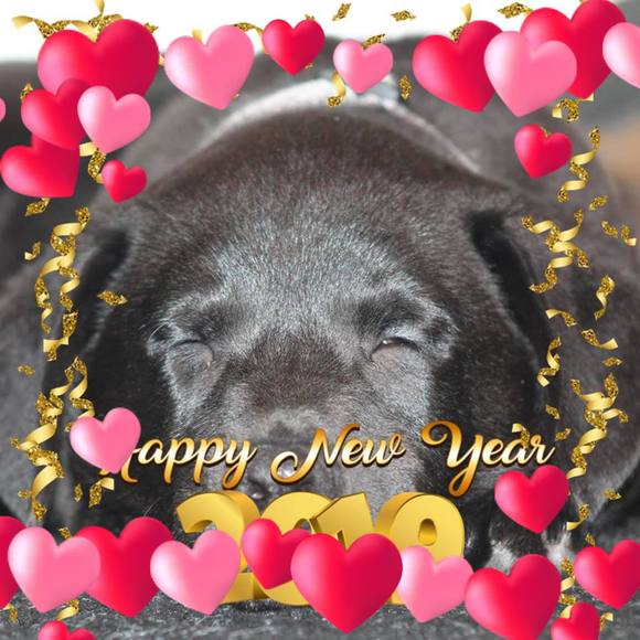 Meet your Posher, Amy - Picture 1 of 1